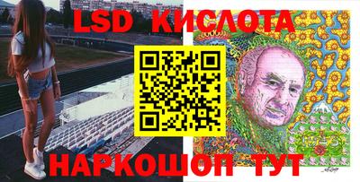 шишки Тара