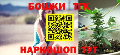 шишки Тара