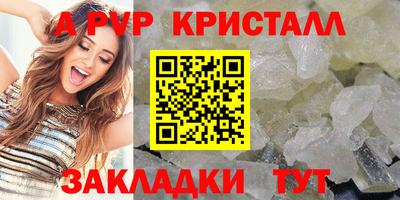 шишки Тара