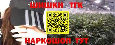 шишки Тара