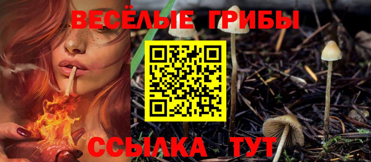 Галлюциногенные грибы MAGIC MUSHROOMS Новочеркасск